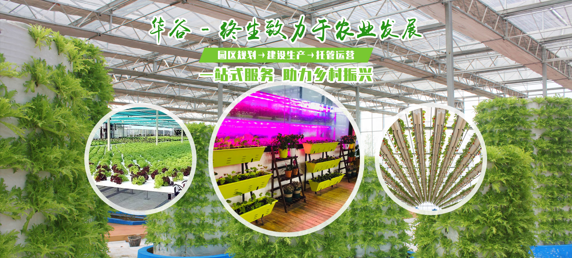 寿光市华谷农业科技有限公司