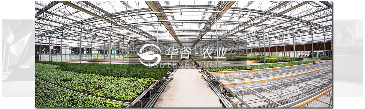 寿光市华谷农业科技有限公司