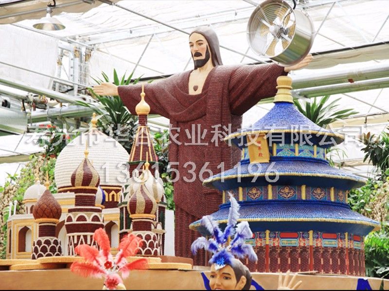 农业景观